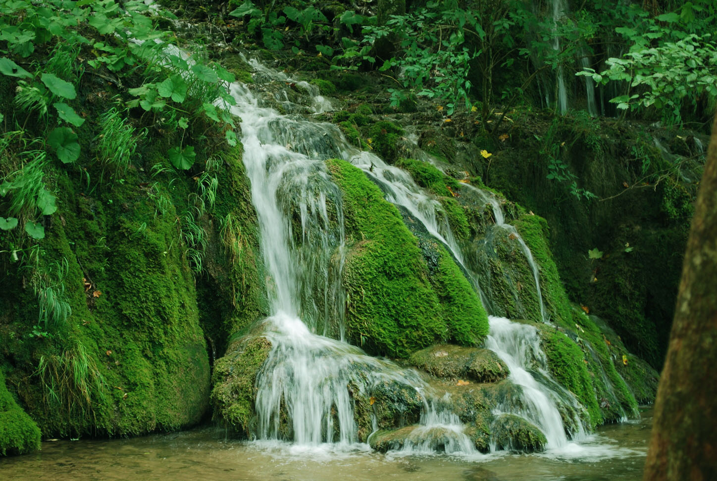 Plitvice Lakes N.P.